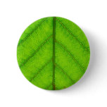 Green Leaf Round Button
