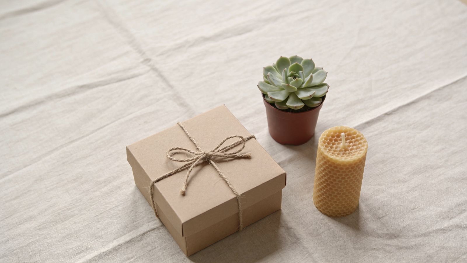 Nature-themed gift designs